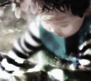 云呼试用三分钟